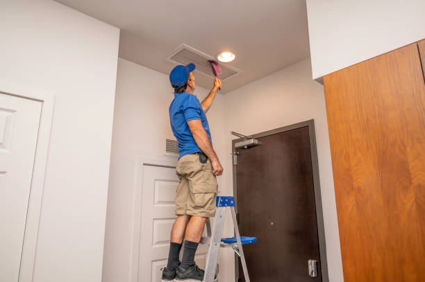 Best Dryer Vent Cleaning Services  in East Grand Rapids, MI